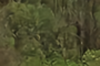DeepJSCC-PNOMA, 26.59 dB